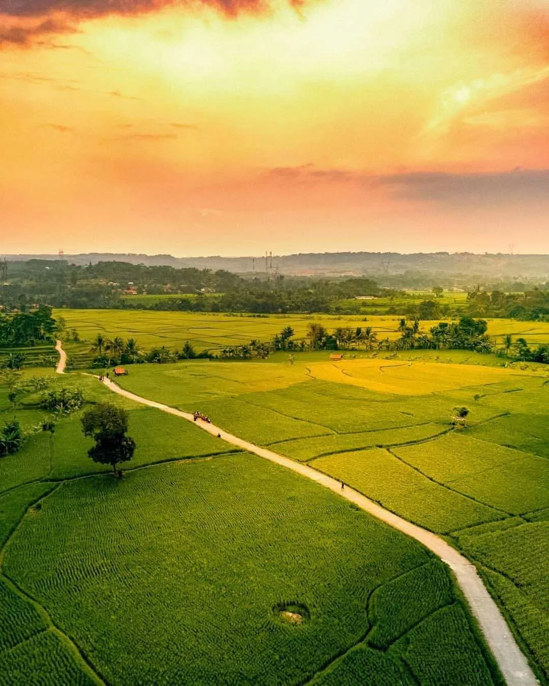 Hyderabad