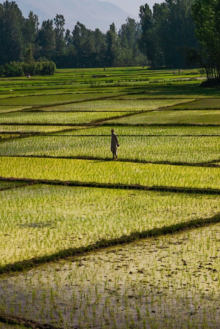 Southern India