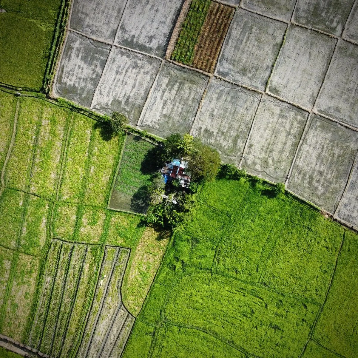 Aerial view of land parcel South India